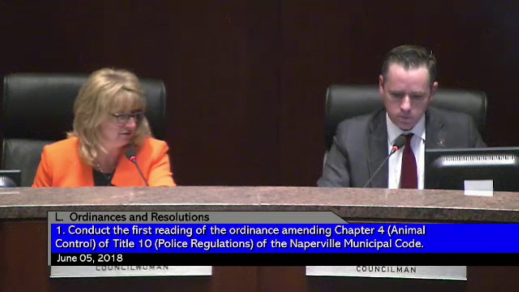 Naperville City Council Members Shutdown Councilwoman Patty Gustin
