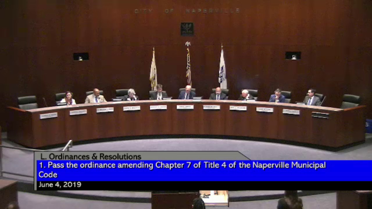 Silly And Stupid Things Naperville City Council Members Say