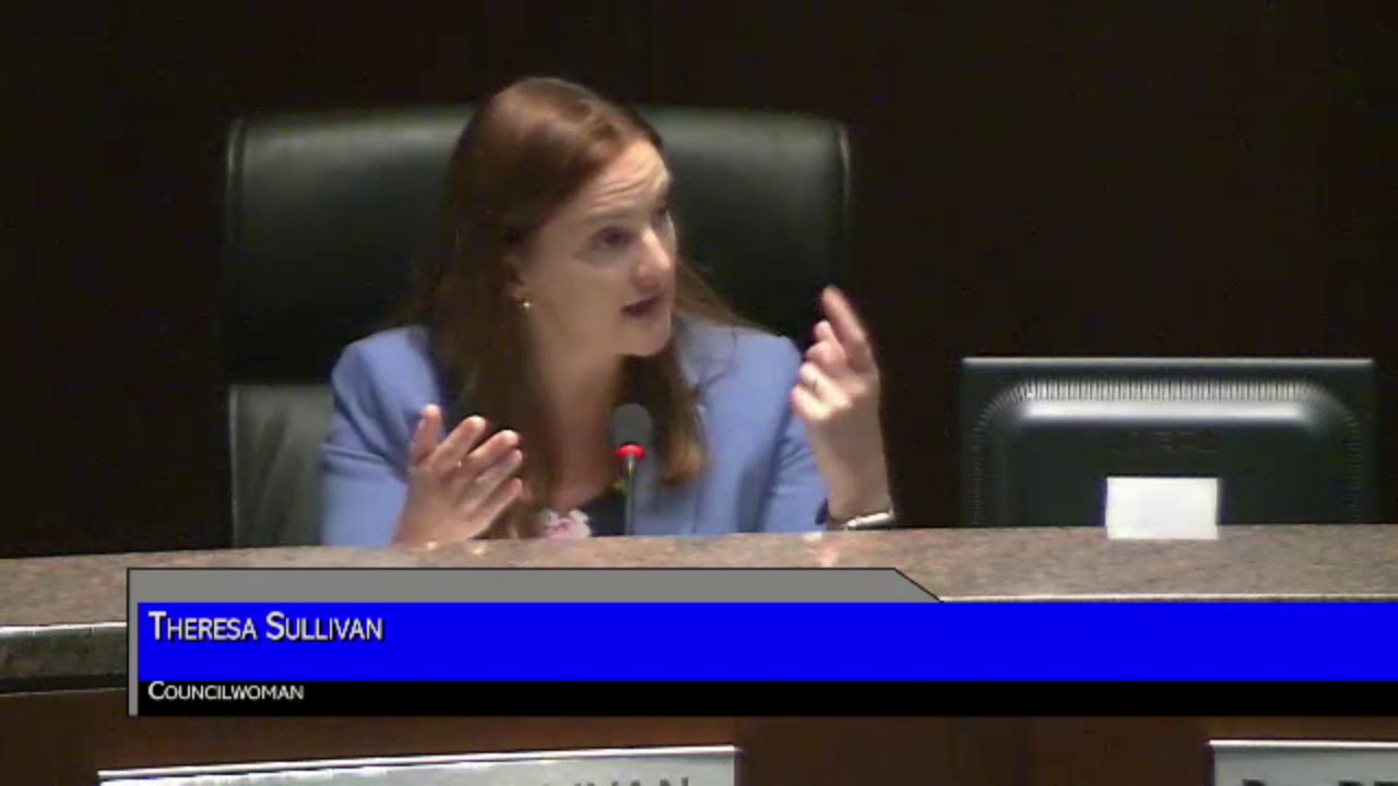 Naperville Councilwoman Theresa Sullivan Asks ‘What Went Wrong Here?’